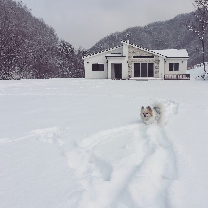 작약꽃펜션 이미지