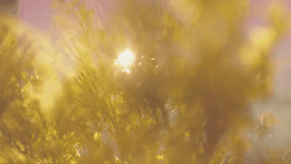 현대차 아이오닉 6 디자인 최초 공개. 영상제공=현대차