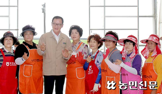 부안육묘장 이미지