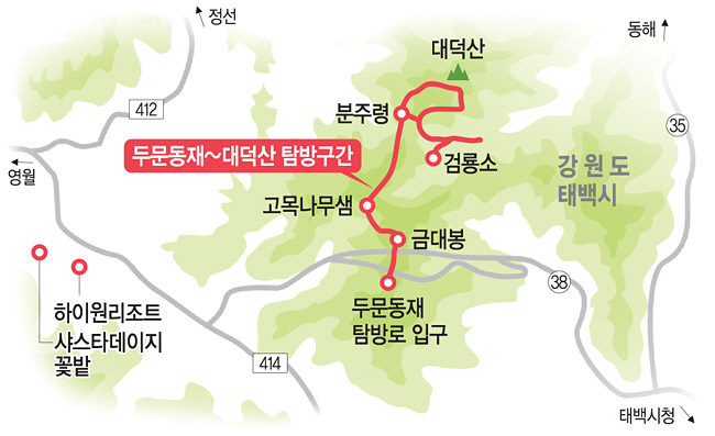 광산꽃화원 이미지