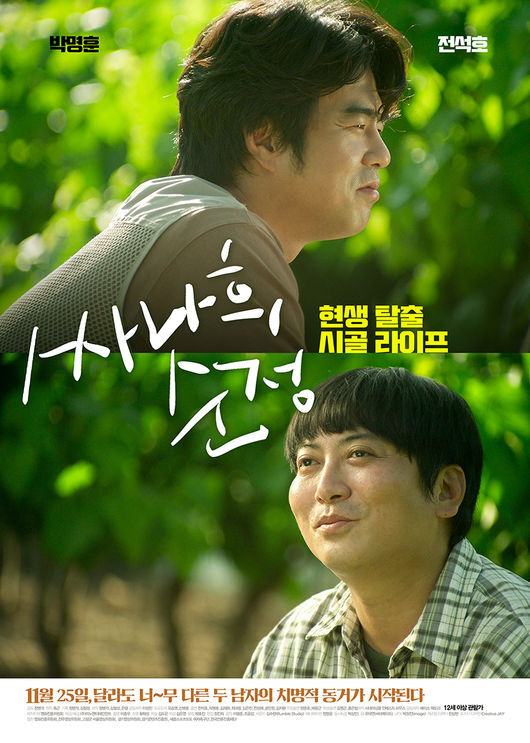 시네마 넝쿨 이미지