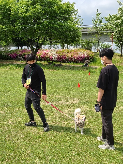 포동 이미지