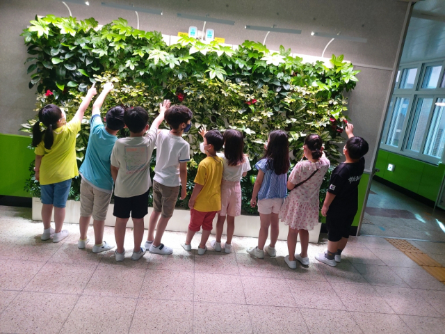 여수양지초등학교 이미지