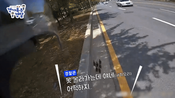 경찰청 공식 페이스북 갈무리 © 뉴스1