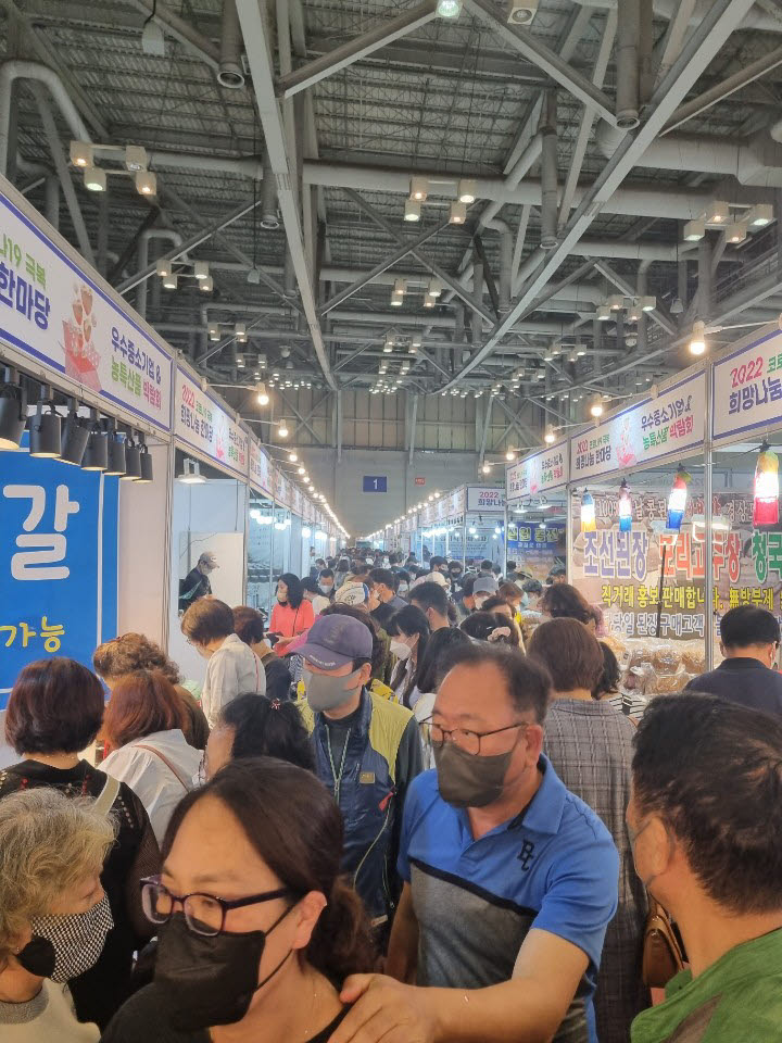 새벽전람 이미지