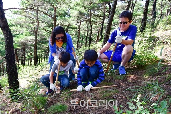 송이유통 이미지
