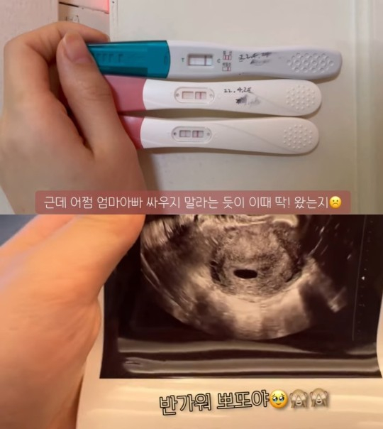 한아름 이미지