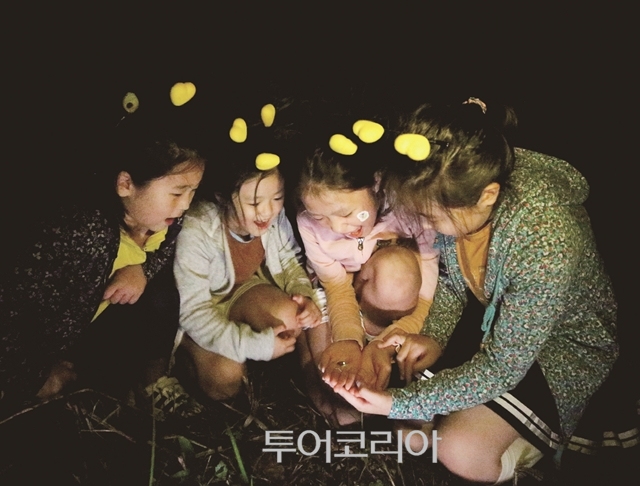 사)무주반딧불축제제전위원회 이미지
