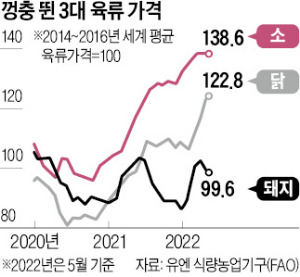 고기세상 이미지