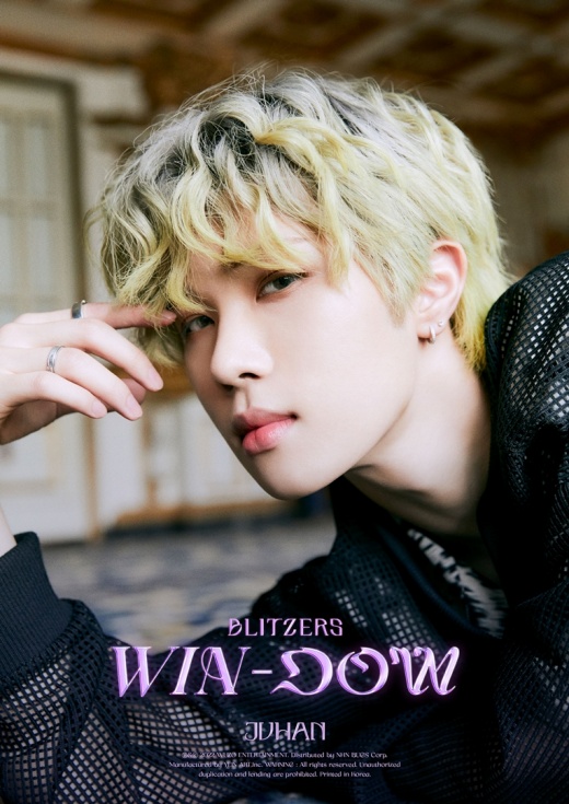도우(DOW) 이미지