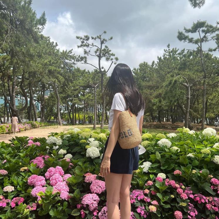 라피아 이미지