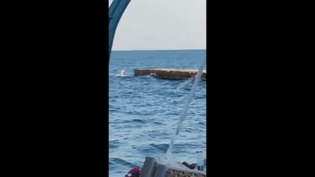 지난 5일 키이우에선 술을 마시다 군경 검문에 걸린 남성들이 징집을 피하려 바다로 뛰어들었다.