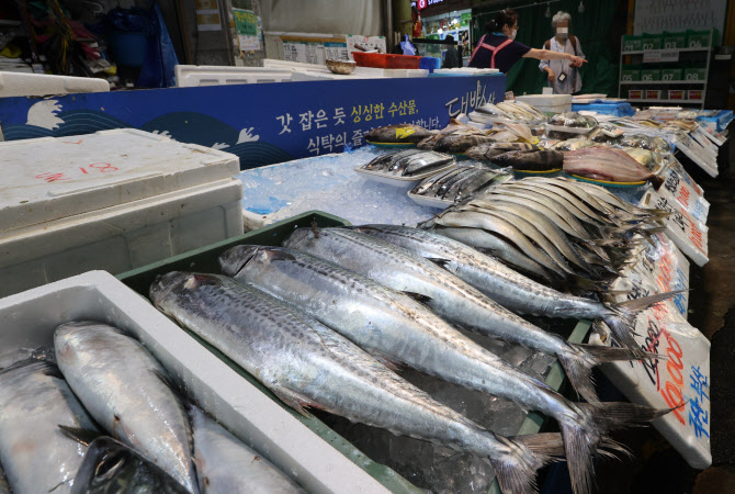 명태랑고기랑 이미지