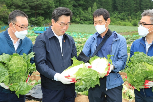 대관령원예농협 채소사업소 이미지