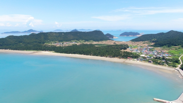 진도 이미지