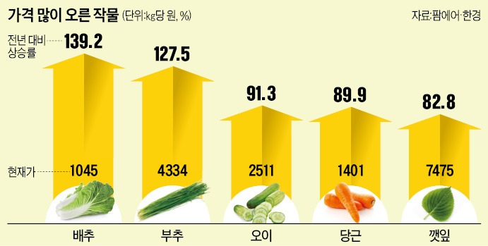 대신반찬 이미지