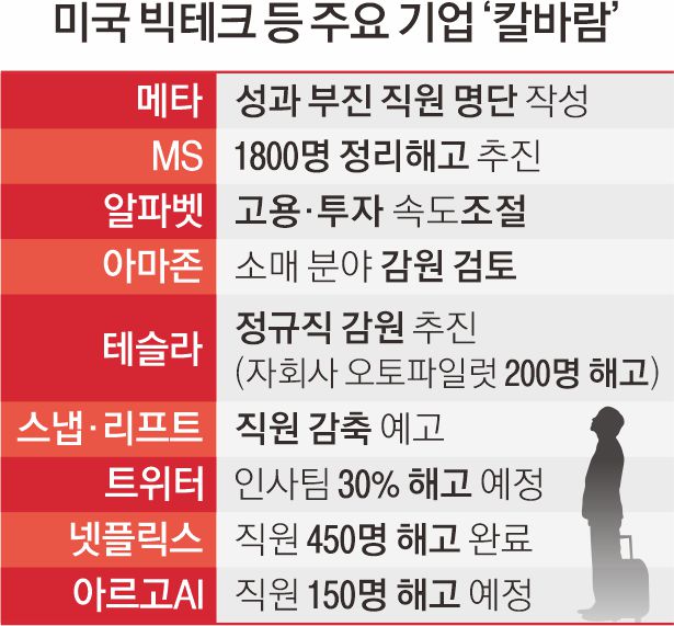 메타엔지니어링 이미지