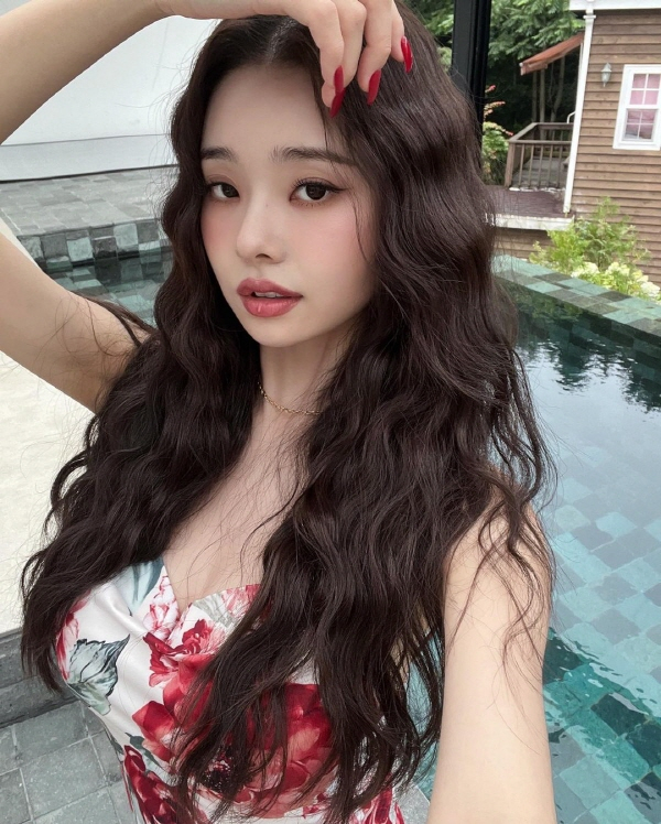 프리지아 이미지