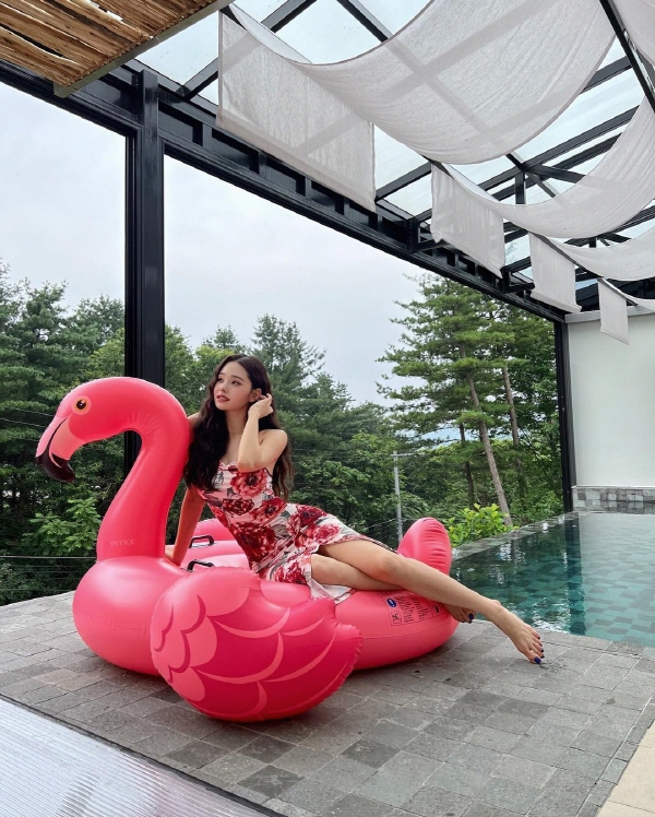 프리지아 이미지