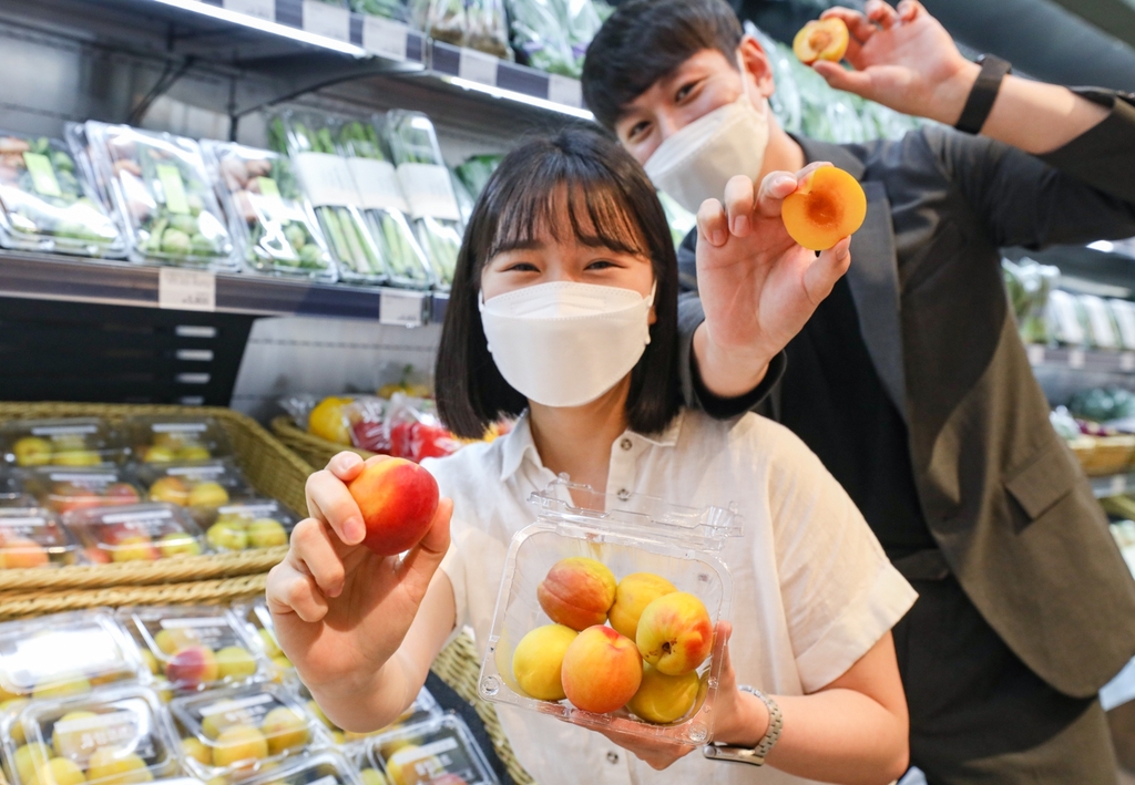달콤현대백화점 이미지