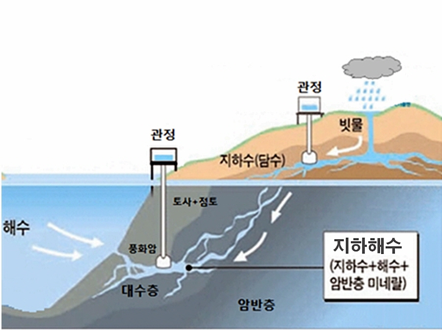 해수네 이미지