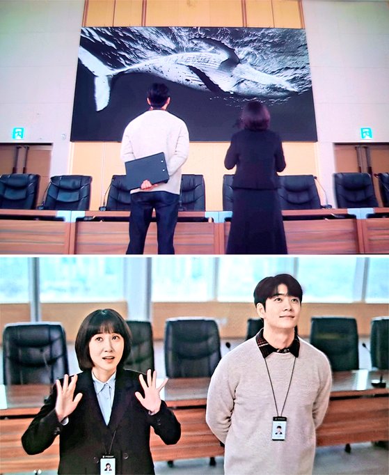 고래잠 이미지
