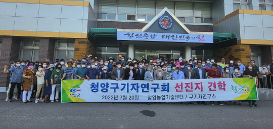 청양구기자 이미지