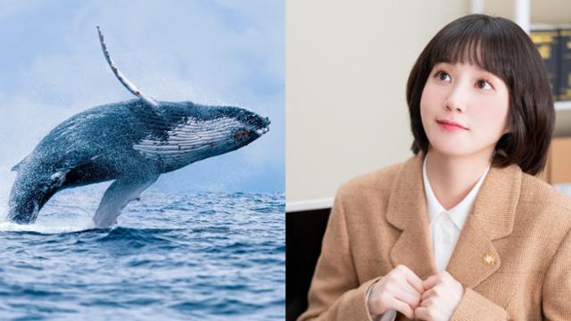 엑터스뱅크 이미지