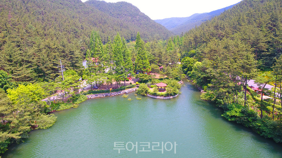 국립희리산해송자연휴양림 이미지