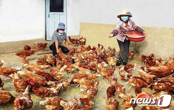 일신축산 이미지