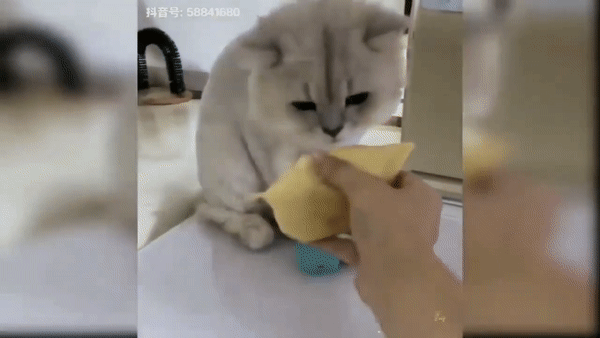 [유튜브 'Makisun No Copyright' 채널 캡처]