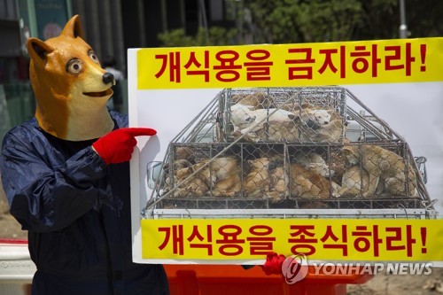 26meat 이미지