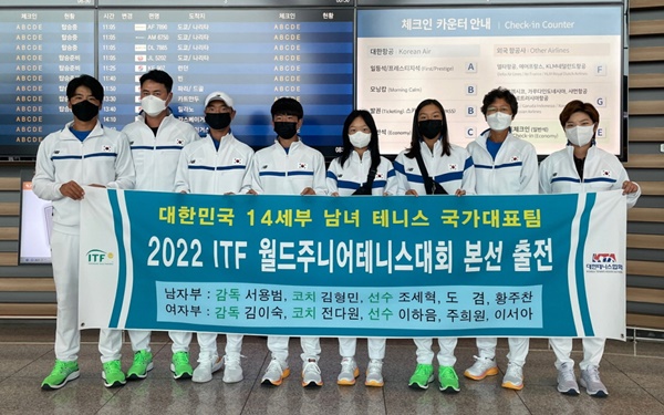 스테이하시니 이미지