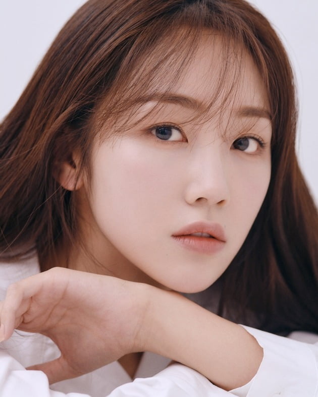 개미컴퍼니 이미지