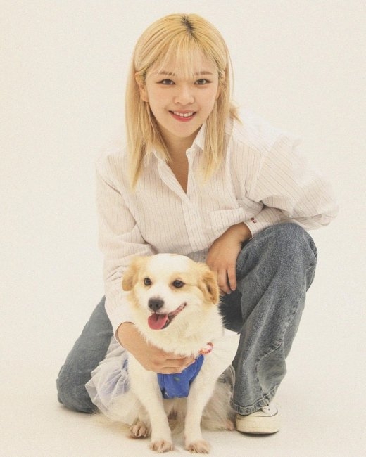 정연 이미지