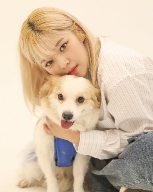 정연 이미지