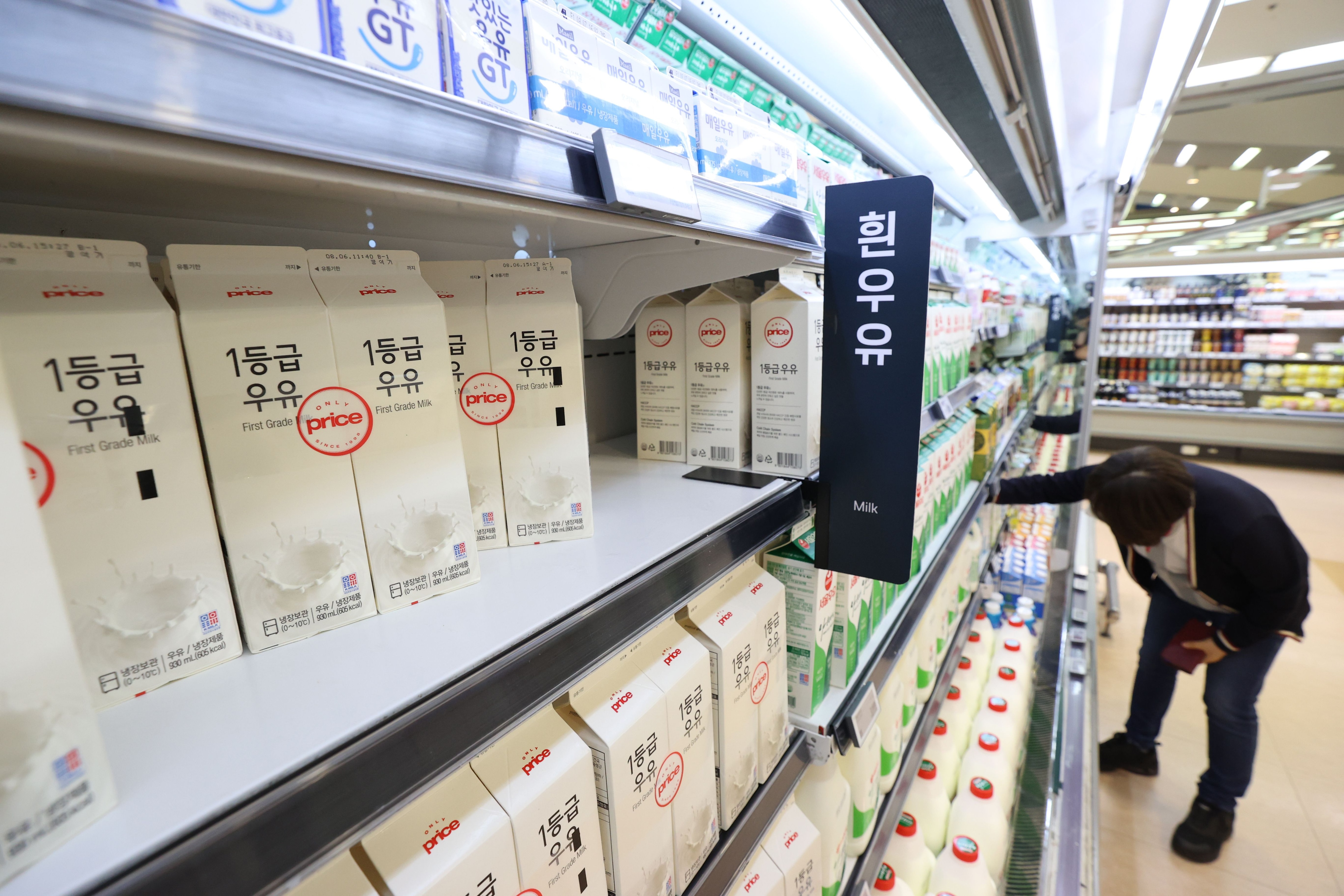사자마트 이미지
