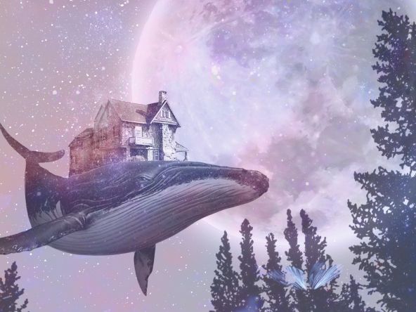 카카오 뷰
