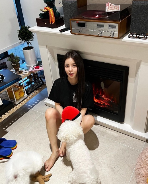 유정집 이미지