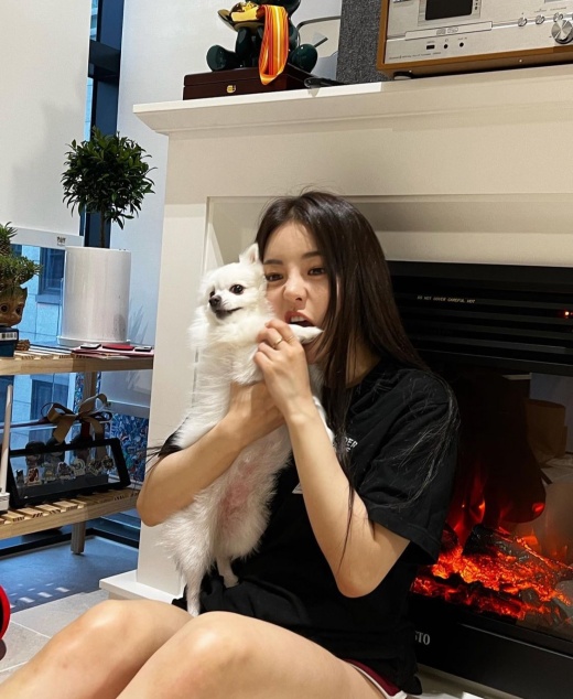 유정집 이미지