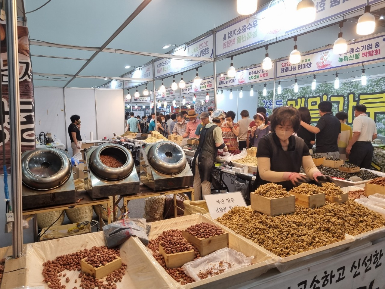 새벽전람 이미지