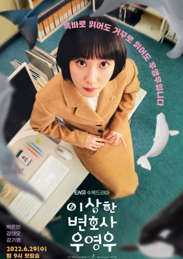 스튜디오달 이미지
