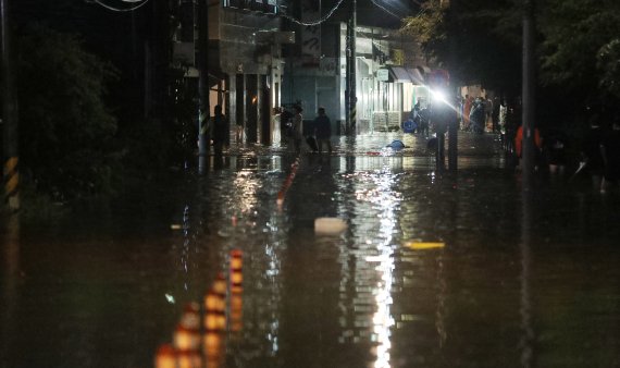 밤새 이미지