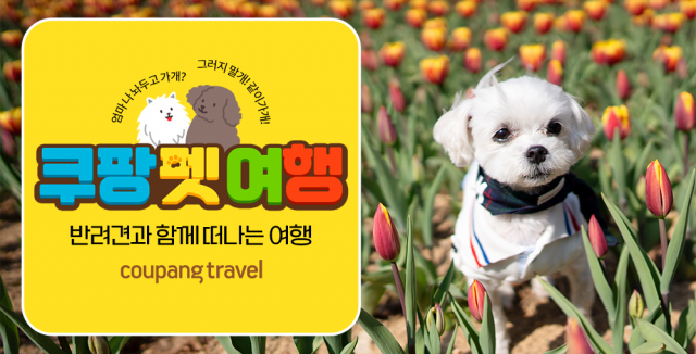 여기펫 이미지