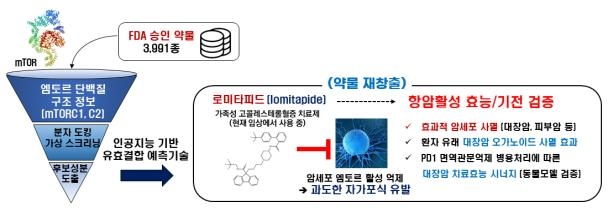 엠피드 이미지