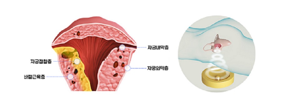 최상산부인과의원 이미지