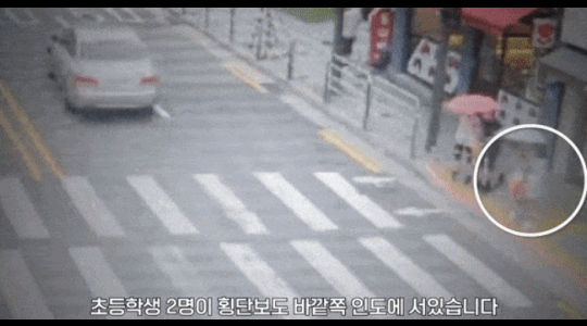 서울 강북구에서 한 운전자가 건널목에서 초등학생을 들이받는 사고가 발생했다. / 영상=서울지방경찰청