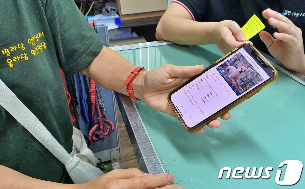 동물보호협회 동행 이미지