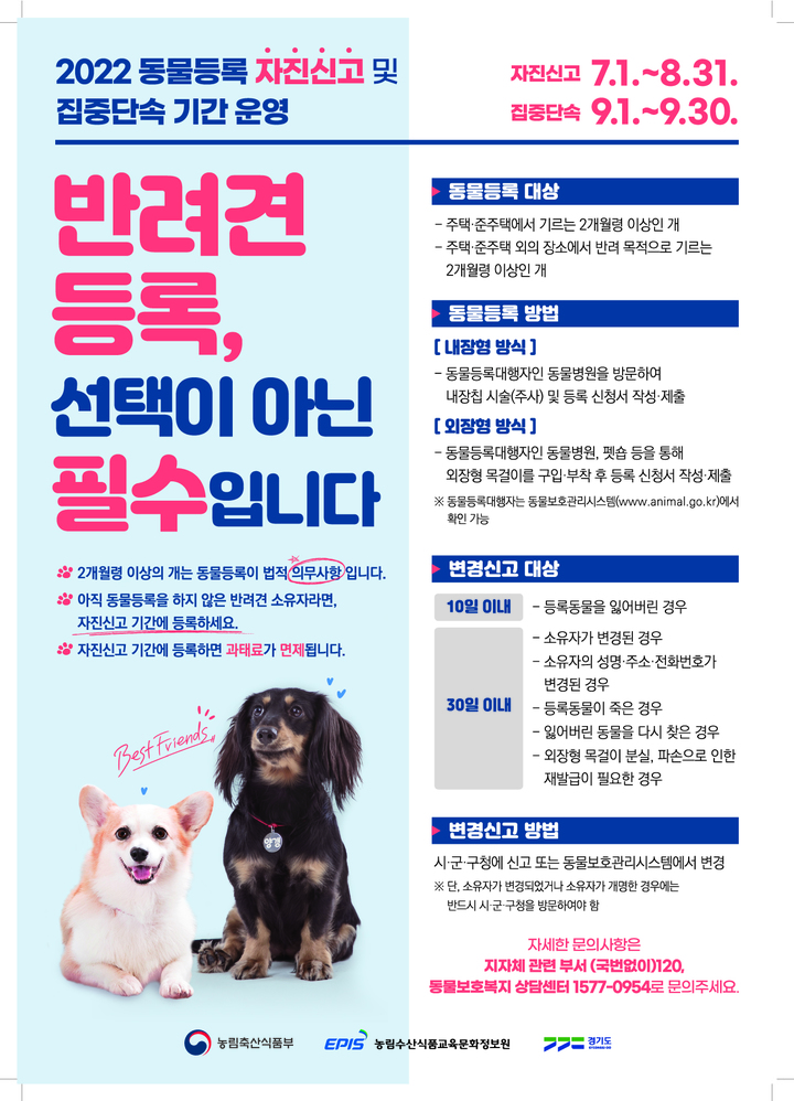 가평군-8 이미지