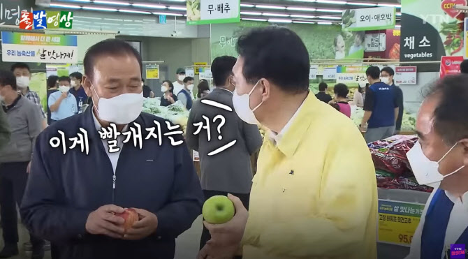 아오리 이미지
